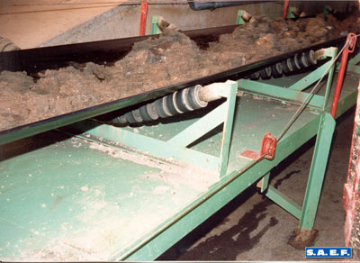 limboroller